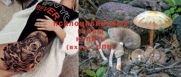 кокс Баксан