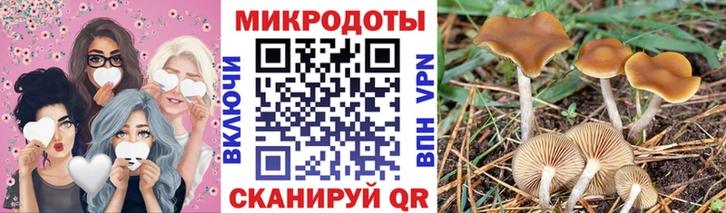 Псилоцибиновые грибы Psilocybe Белый