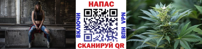 дарк нет Telegram  Белый  Бошки Шишки индика 